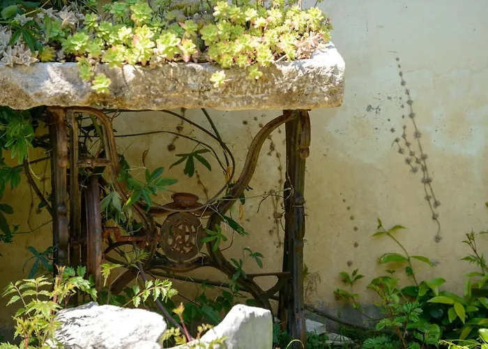 Ilko * 두브로브니크